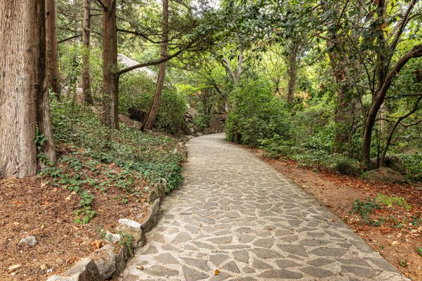 Stone Walkway Repair in Cumming