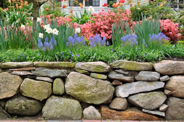 Stone Wall Hardscaping in Cumming