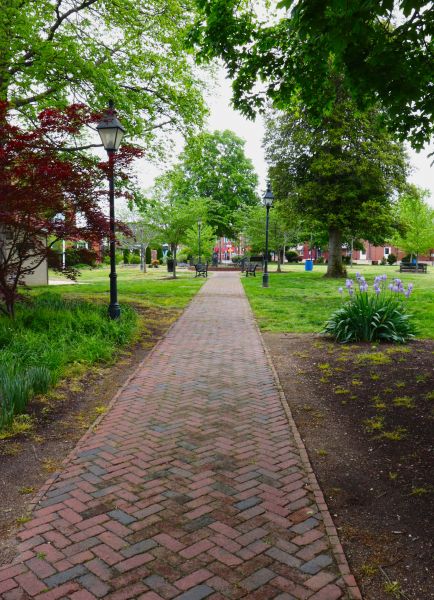 Brick Pathway Repair in Cumming