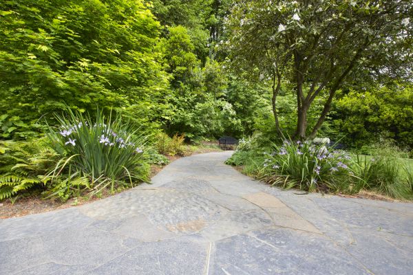 Stone Hardscape Service in Cumming