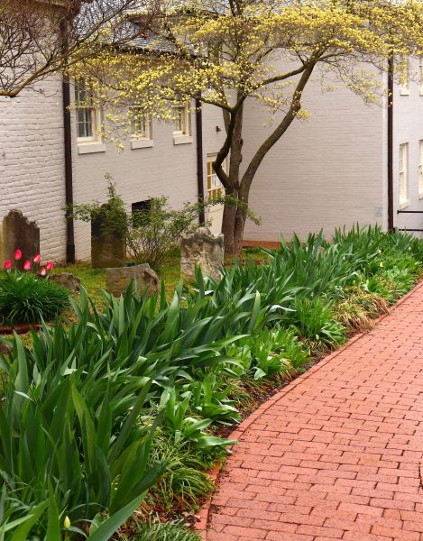 Brick Flatwork Repair in Cumming